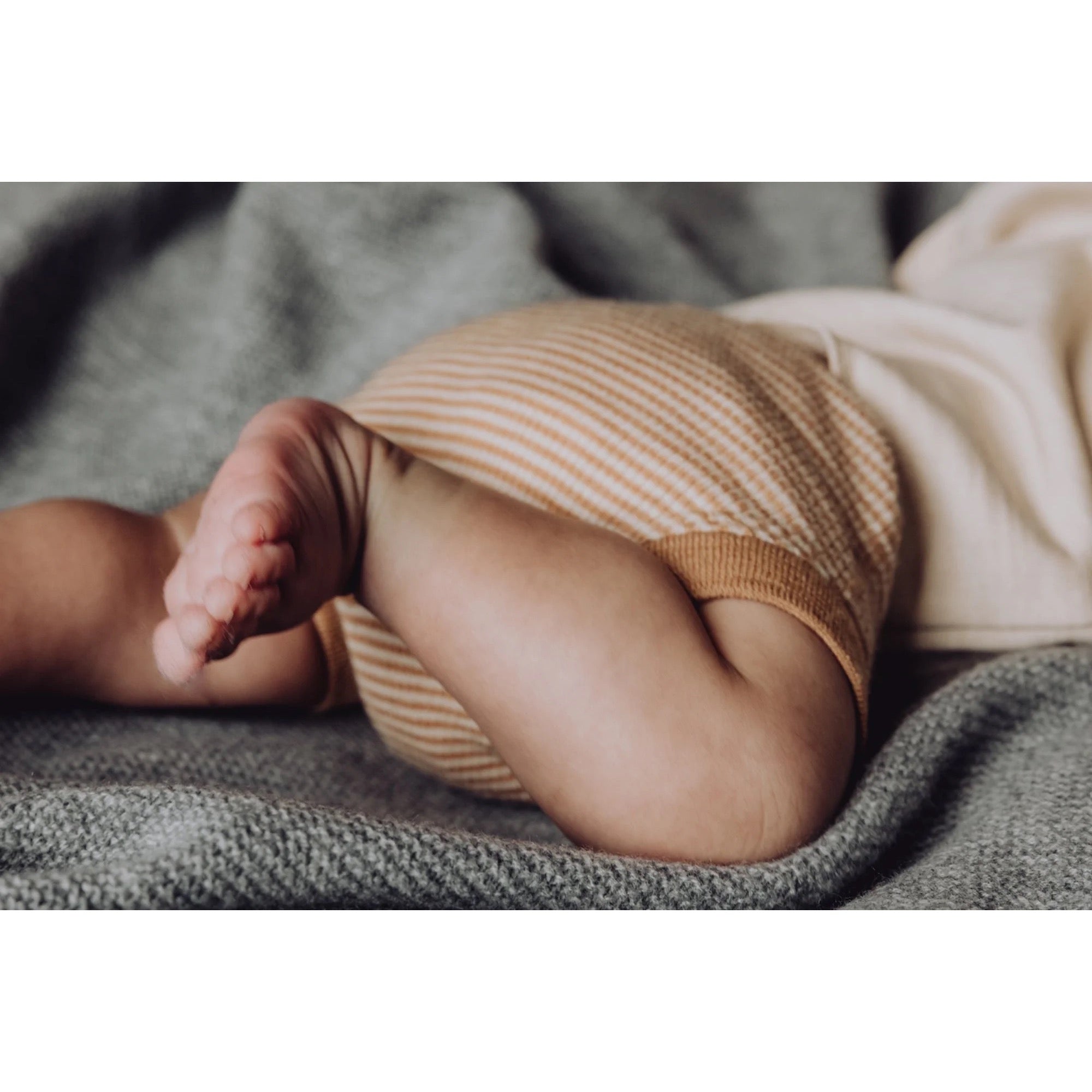 Finch & Fable Wool Rib Bloomers