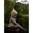 Gallery viewerに画像を読み込む, The Gnome Hat
