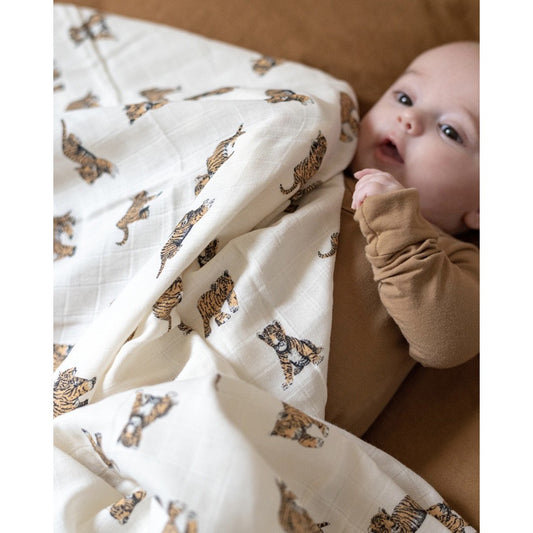 Maxi Swaddle Baby