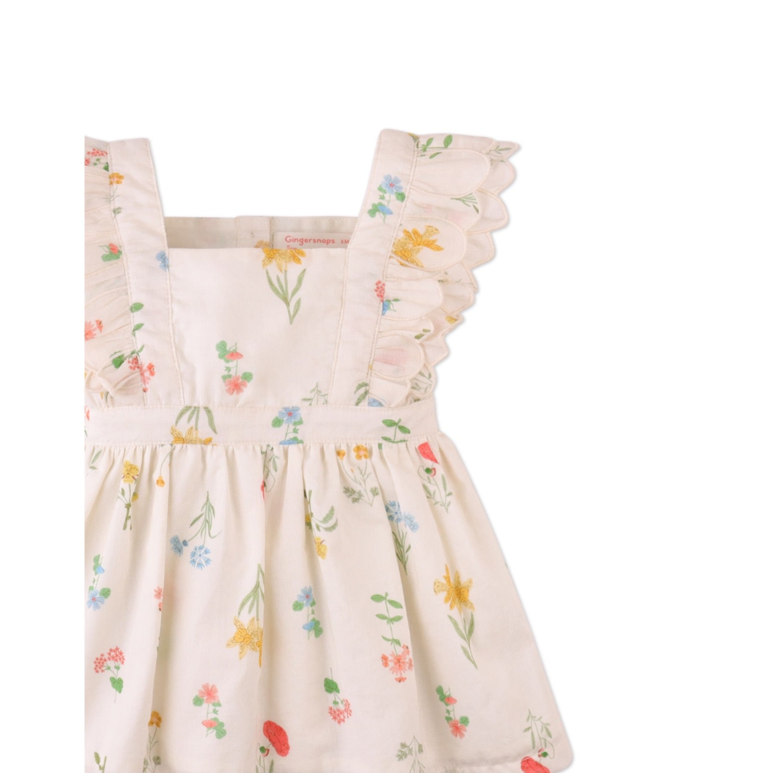 Gingersnaps Baby Chisa Dress with Embroidered Petal Ruffle Sleeves