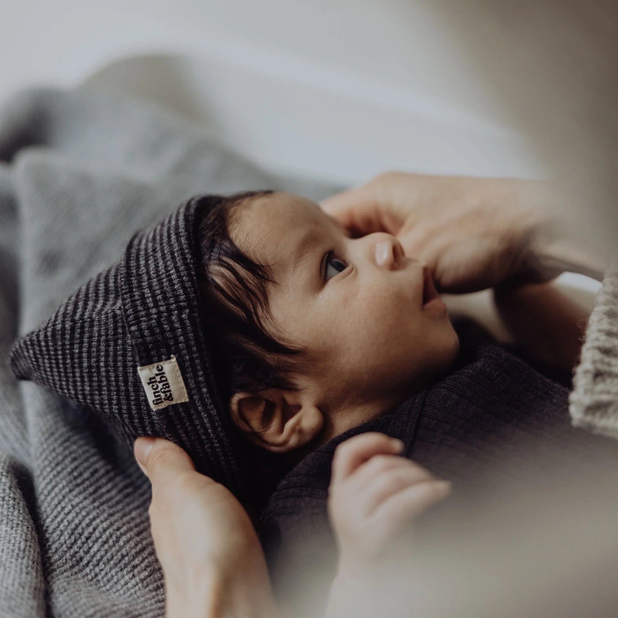 Finch & Fable Wool Rib Baby Hat